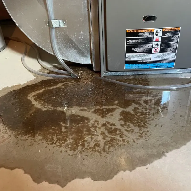 Pipe Burst and Leak Restoration in North Kingstown, RI