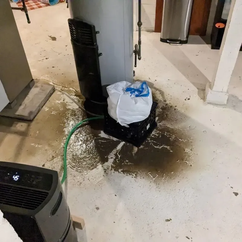 Sewage Backup Cleanup Service in North Kingstown, RI